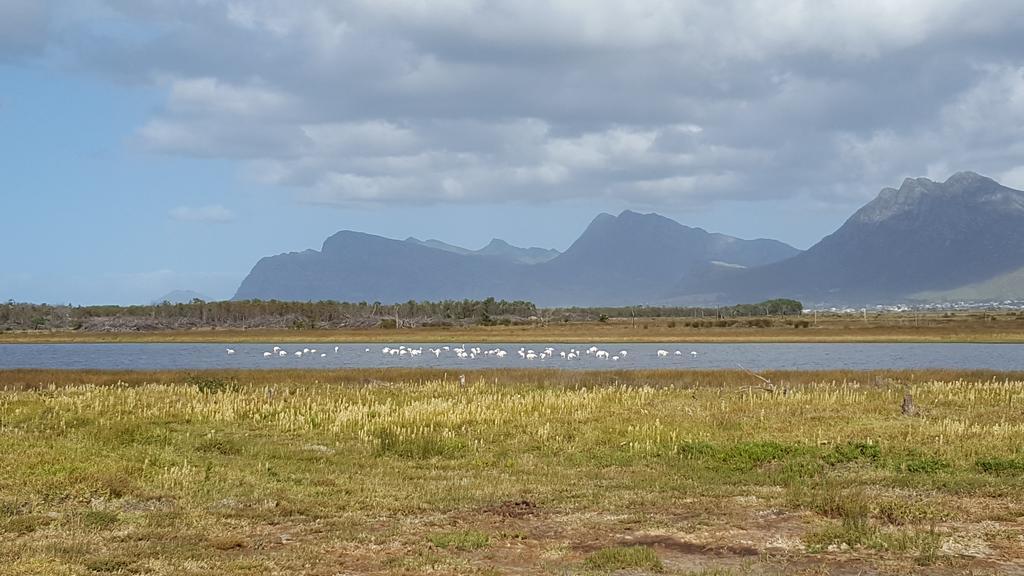 La Mer Seafront Selfcatering Accommodation Kleinmond Εξωτερικό φωτογραφία